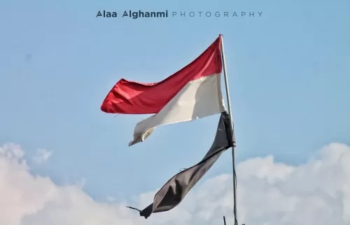 العلم اليمني